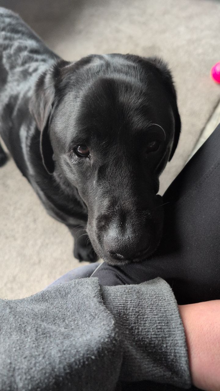 Rudi macht es sich gemütlich